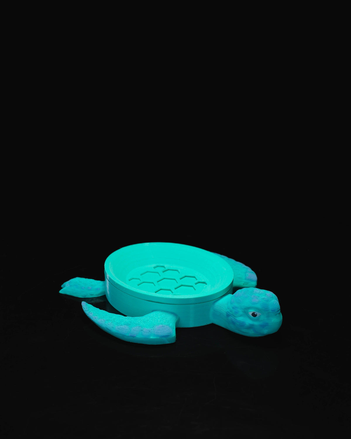 Turtle Soap Dish fără săpun - vedere de sus